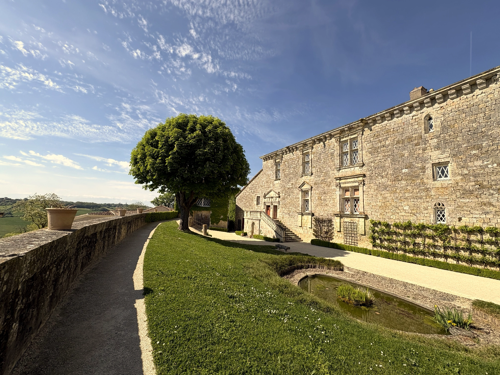Château de Gramont — arbre isolé contre le mur d'enceinte