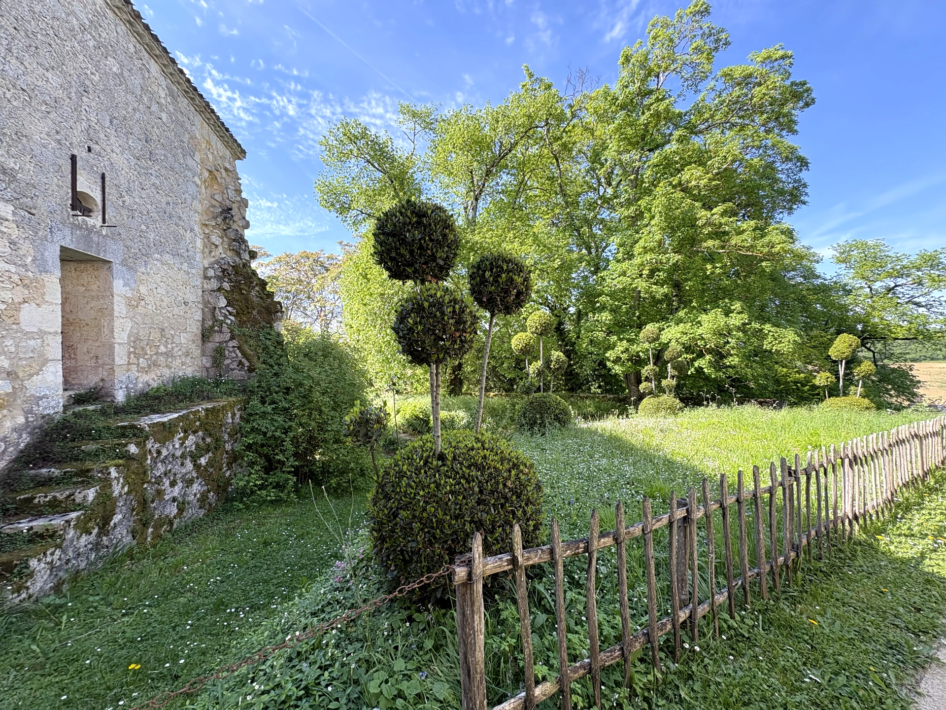 Château de Gramont — buis taillés en topiaire