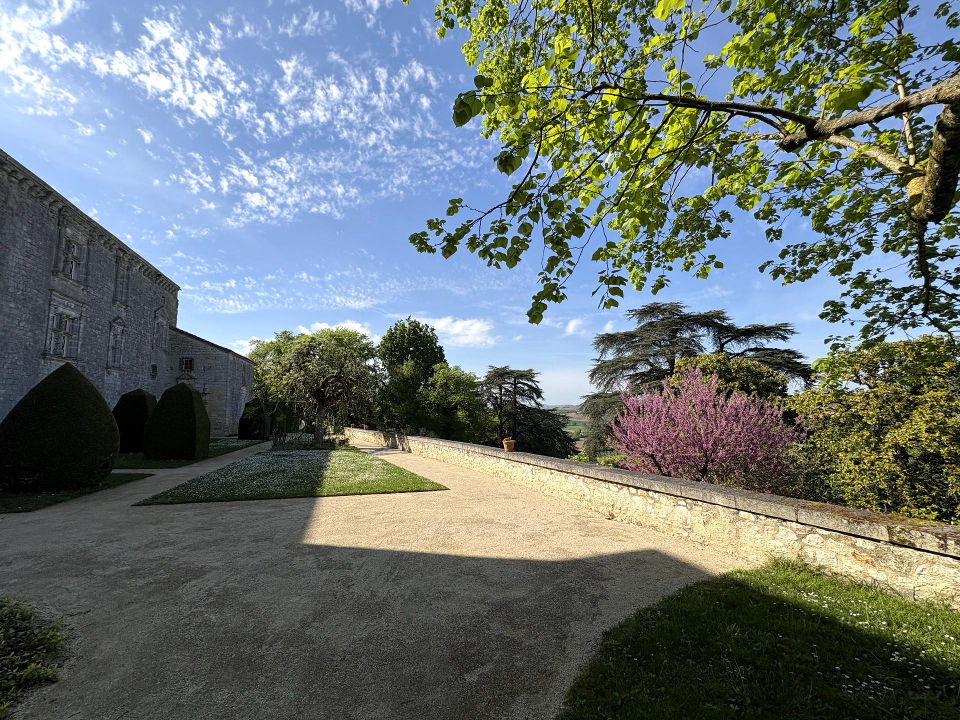 Château de Gramont — allée des jardins avec arbre en fleurs