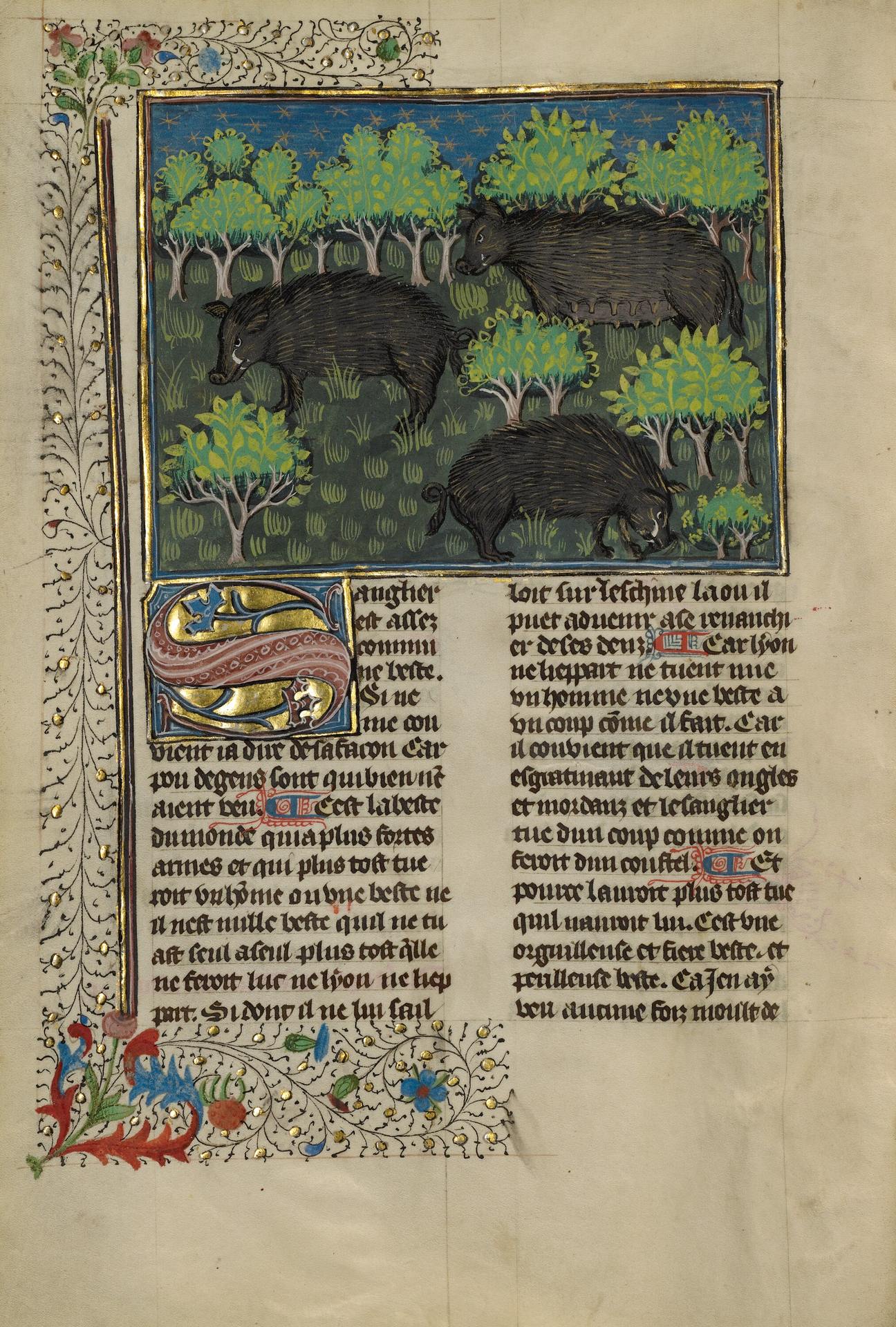 Enluminure du Livre de chasse de Gaston Fébus