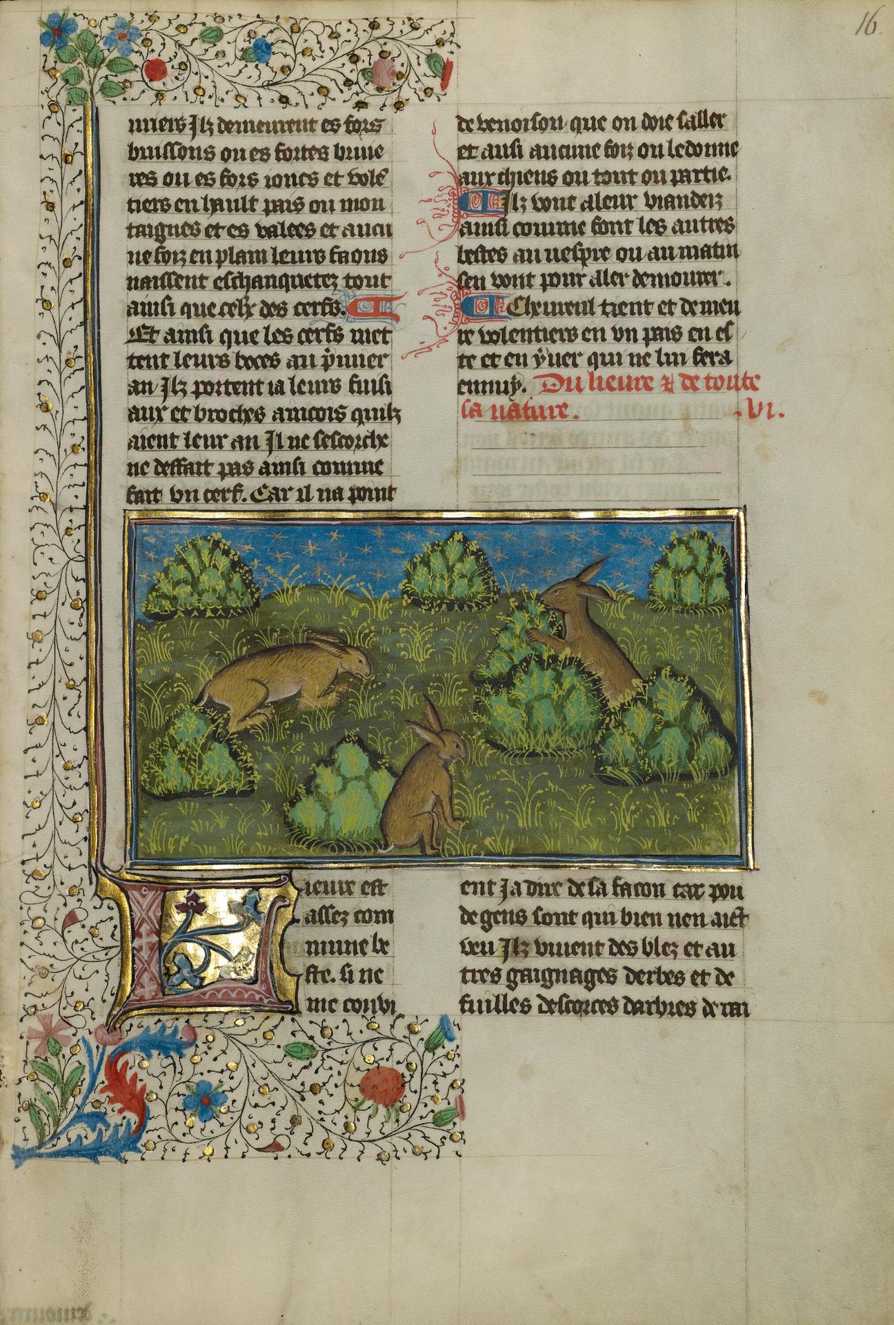 Enluminure du Livre de chasse de Gaston Fébus