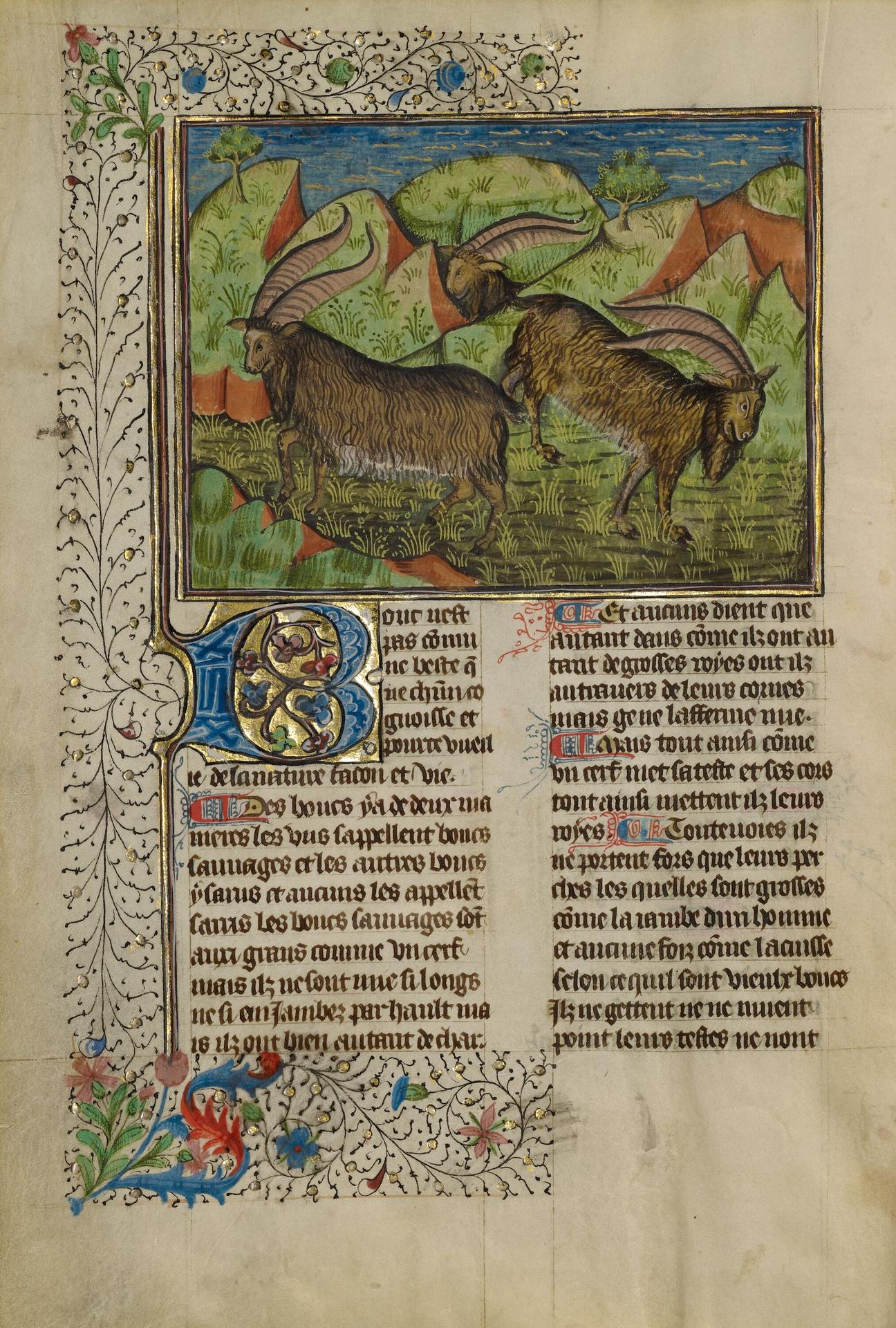 Enluminure du Livre de chasse de Gaston Fébus
