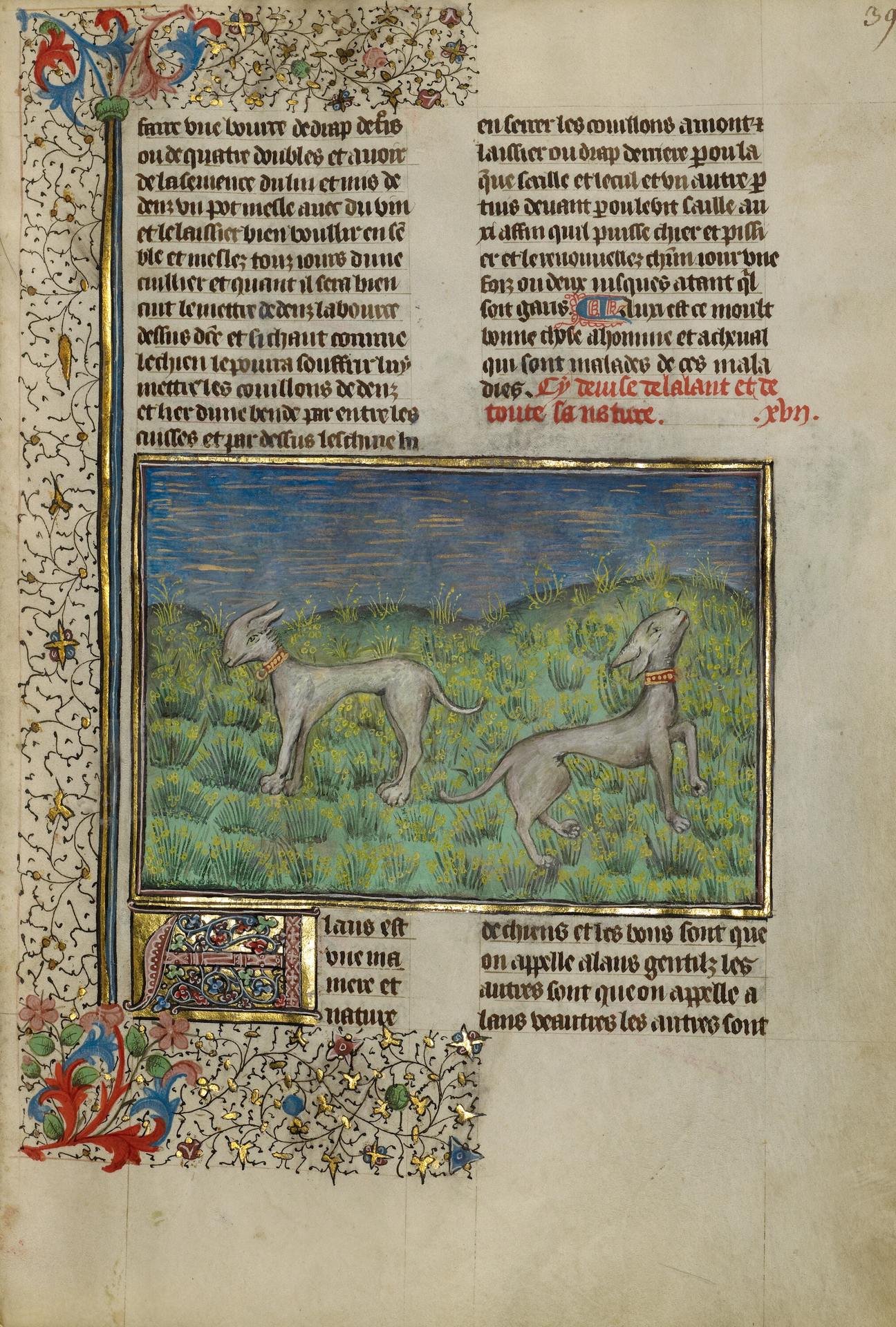 Enluminure du Livre de chasse de Gaston Fébus