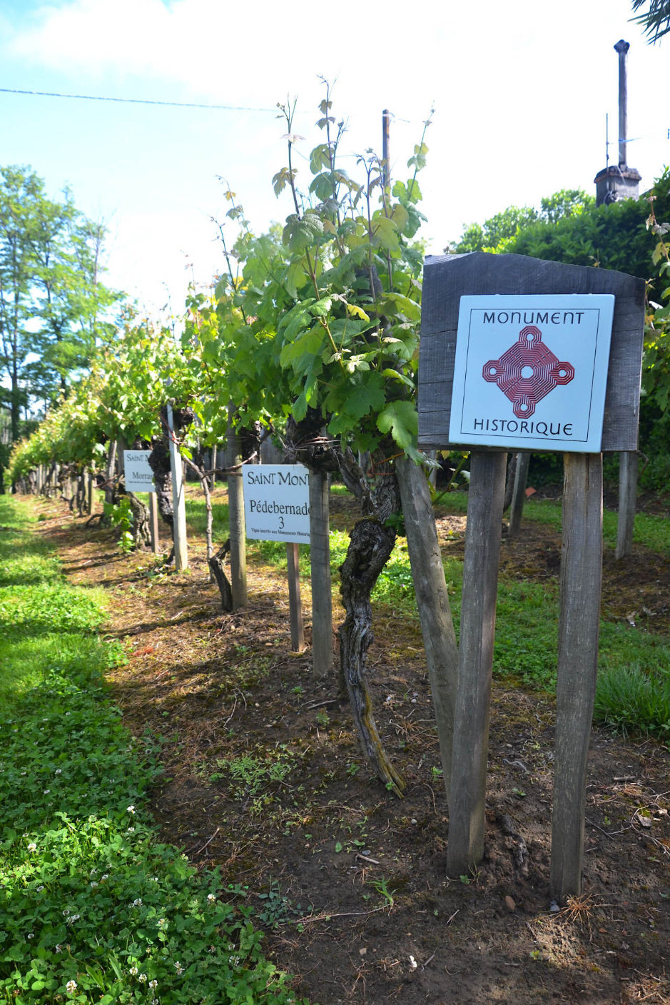 Vigne de Sarragachies classée Monument historique