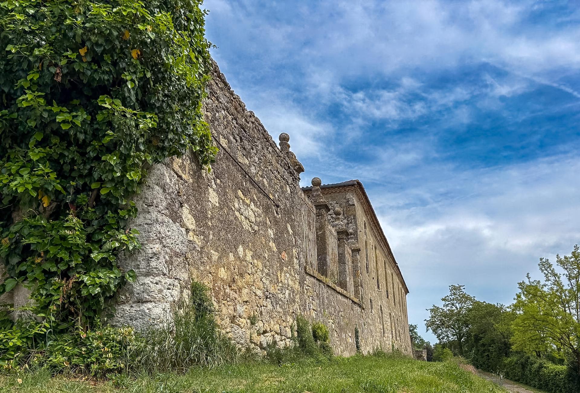 Mur ancien longé par la végétation