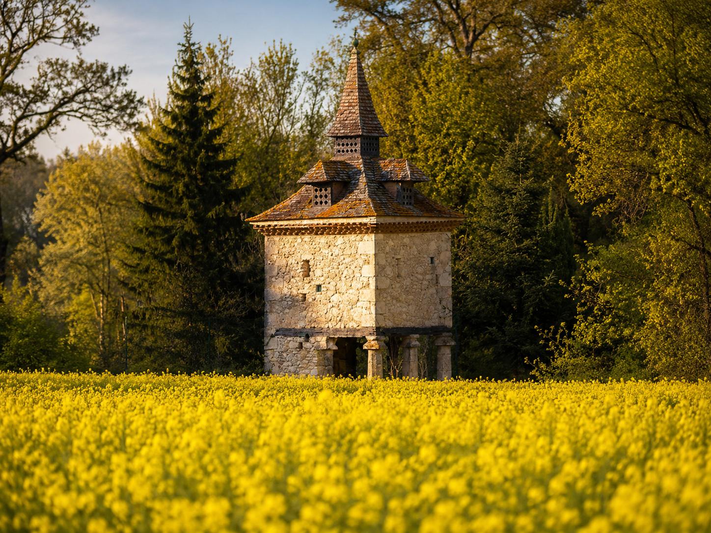Colombier gascon cylindrique restauré, au toit conique de bardeaux coiffé d'un lanternon, devant les vignes.