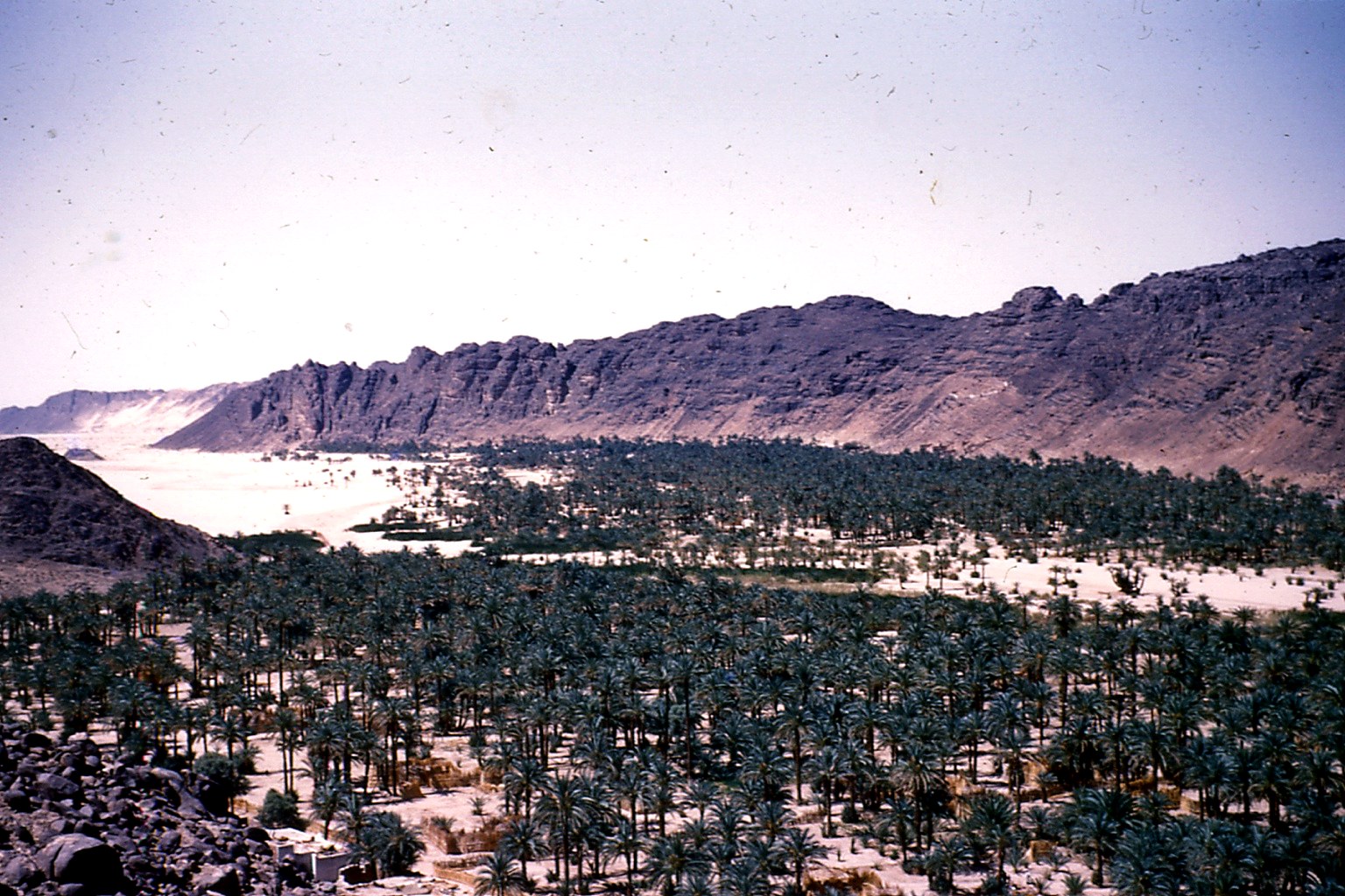 Paysage saharien, palmeraie et montagnes