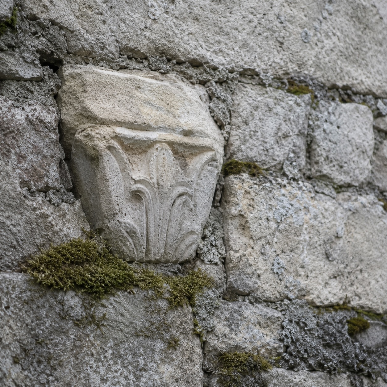 Fragment de pierre sculptée médiévale remployé dans un mur de moellons