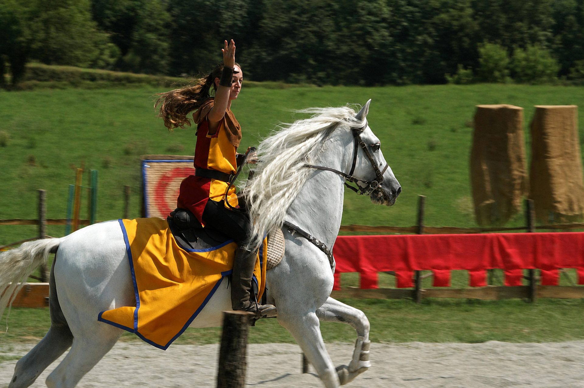 Cavalière en jaune et rouge saluant au galop sur un cheval blanc