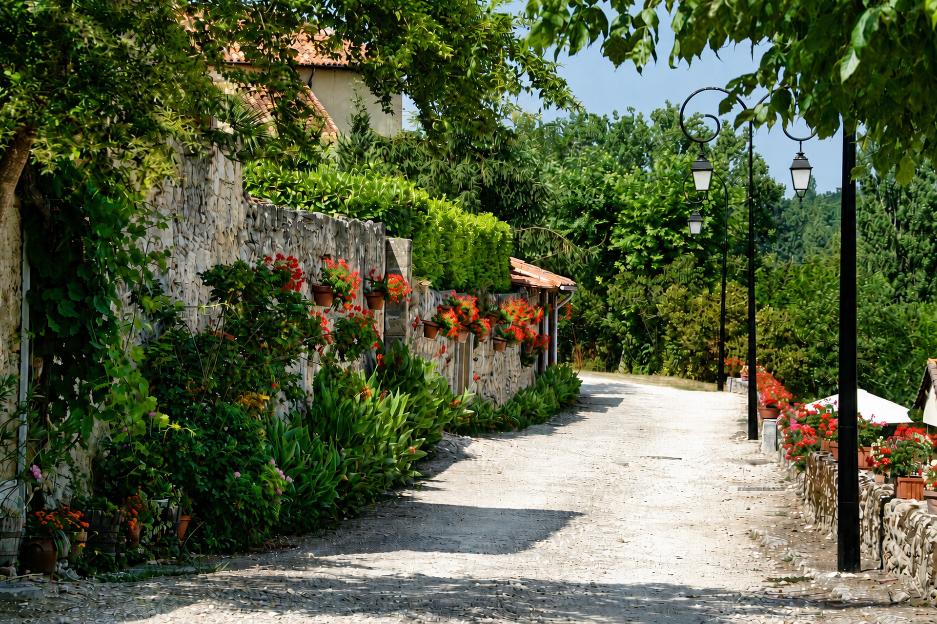 Dernière image du carnet photographique de Labastide-d’Armagnac
