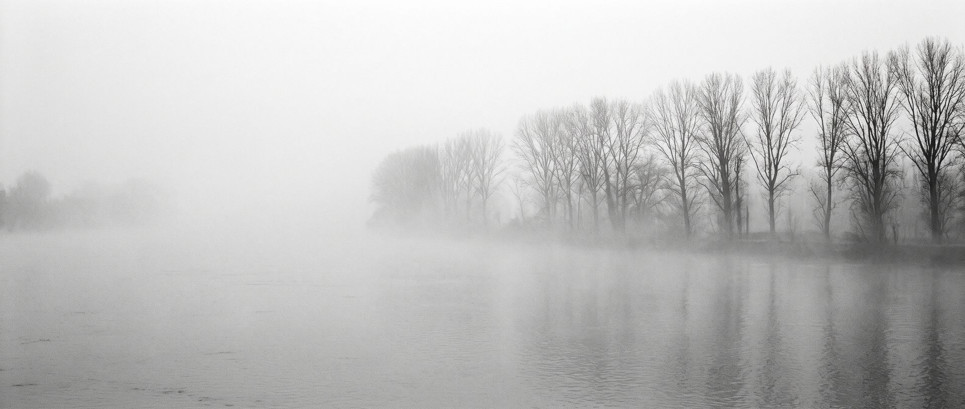 Évocation : la Garonne en hiver dans le brouillard ; on ne distingue que la pointe d’un clocher et la cime des arbres sans feuilles, comme des mâts